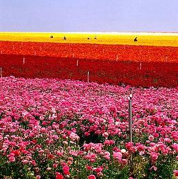 《咚奇刚：蕉力全开》破坏系统都是拿程序员头发换的